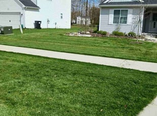 Dawn W.'s grass maintenance service result