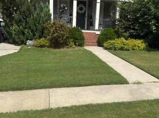 Joanne S.'s lawn service service result