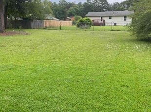 Andrew M.'s lawn service service result
