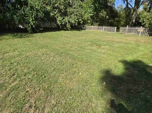Katrina L.'s lawn service service result