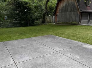 Allen D.'s grass cutting service result