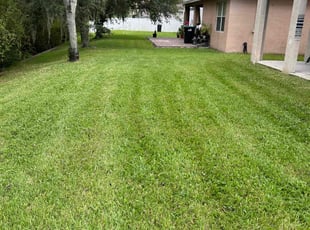 Tim M.'s lawn care service result