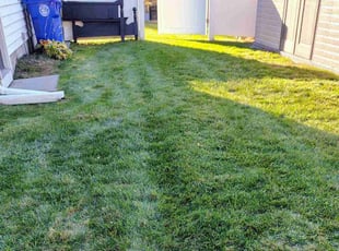 Toms R.'s turf care service result