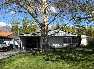 Alex M.'s turf maintenance service result