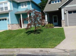 Austin B.'s lawn service service result