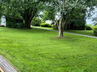 John P.'s lawn service service result