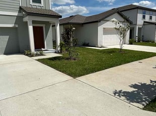 Enrique G.'s lawn care service result