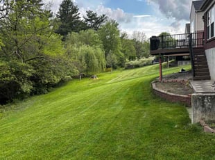 Barbara H.'s turf maintenance service result