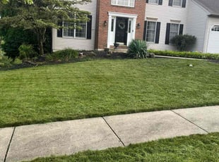 Maggie C.'s grass maintenance service result