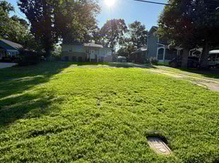 Brett L.'s turf care service result