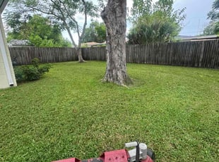 Connie M.'s lawn care service result
