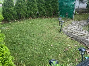 Norell P.'s grass cutting service result