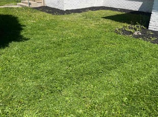 Mylo M.'s lawn maintenance service result