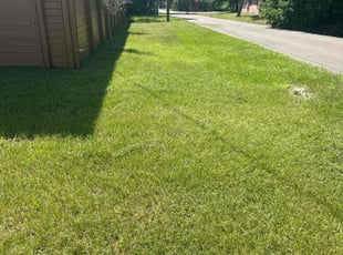 Ken B.'s grass maintenance service result