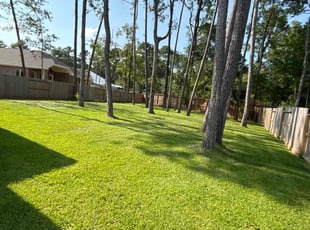 Melissa H.'s lawn service service result