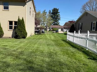 J H.'s turf care service result