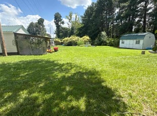 Leah M.'s lawn care service result