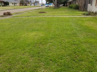 Chris S.'s Leaf Removal service result