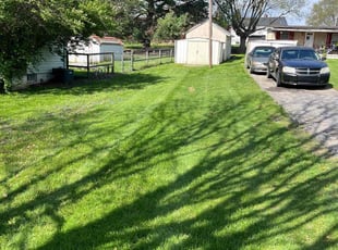 Leah I.'s turf care service result