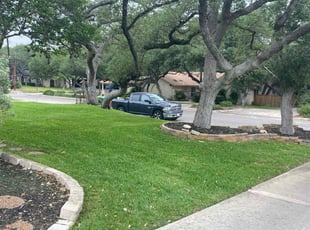 Tony S.'s turf maintenance service result