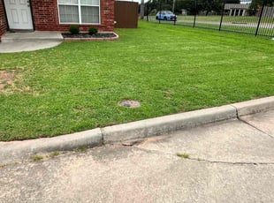 Kim D.'s lawn care services service result