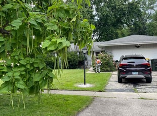 Henry L.'s lawn maintenance service result