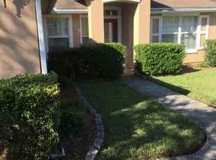 Ryan R.'s Bush Trimming service result