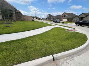 Donna M.'s turf care service result