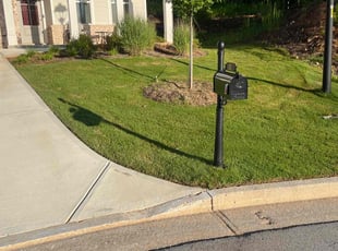 Fidencio H.'s grass cutting service result