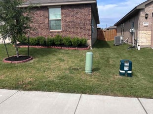 Warren W.'s turf care service result