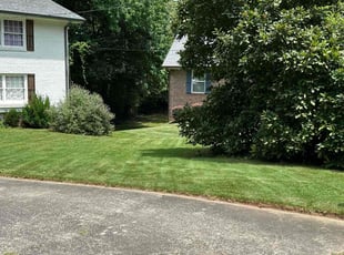 Clarence W.'s yard care service result