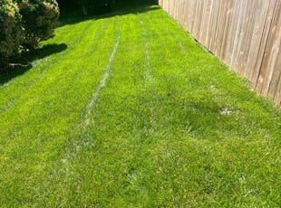 Kathy L.'s turf maintenance service result