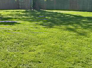 Christine P.'s lawn maintenance service result