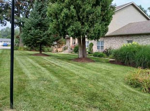 Stan J.'s lawn care services service result