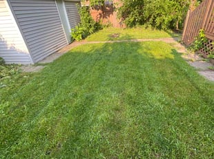 Aaron N.'s grass cutting service result
