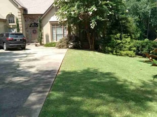 Deb K.'s lawn care service result