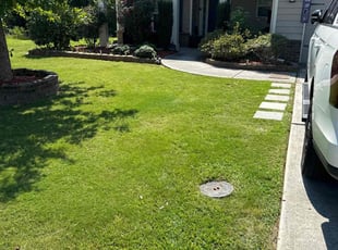Sabrina A.'s turf maintenance service result