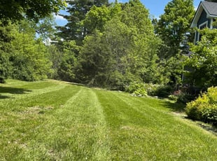 Clara B.'s lawn care service result