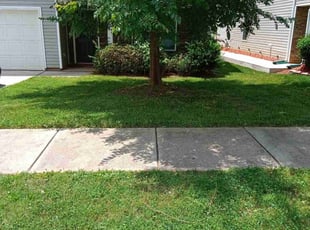 James J.'s landscaping services service result