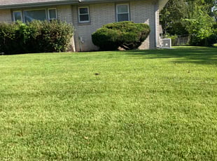 Peggy R.'s grass maintenance service result