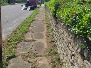 Bryan W.'s lawn care service result