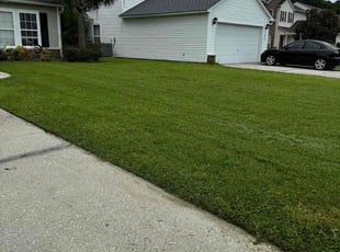 Lindsey B.'s turf care service result