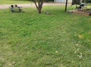 Stephanie L.'s lawn care service result