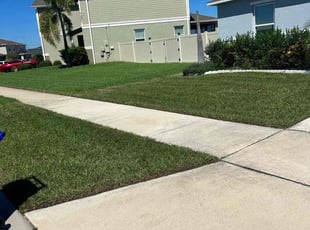 Quin N.'s grass cutting service result