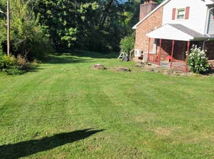 Theresa W.'s turf maintenance service result