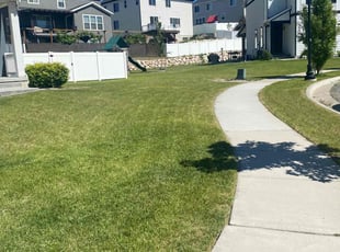 Sheena F.'s lawn care service result