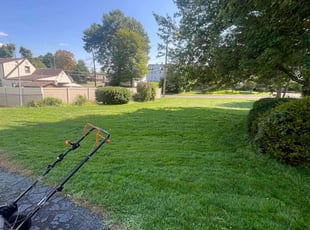 Fitzhugh B.'s turf maintenance service result