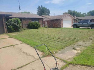 Lauren D.'s Long Grass Cleanup service result