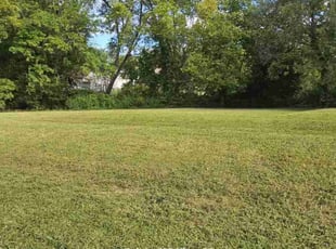 Hao B.'s grass cutting service result