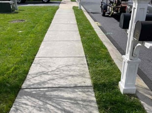 Youssef R.'s turf maintenance service result